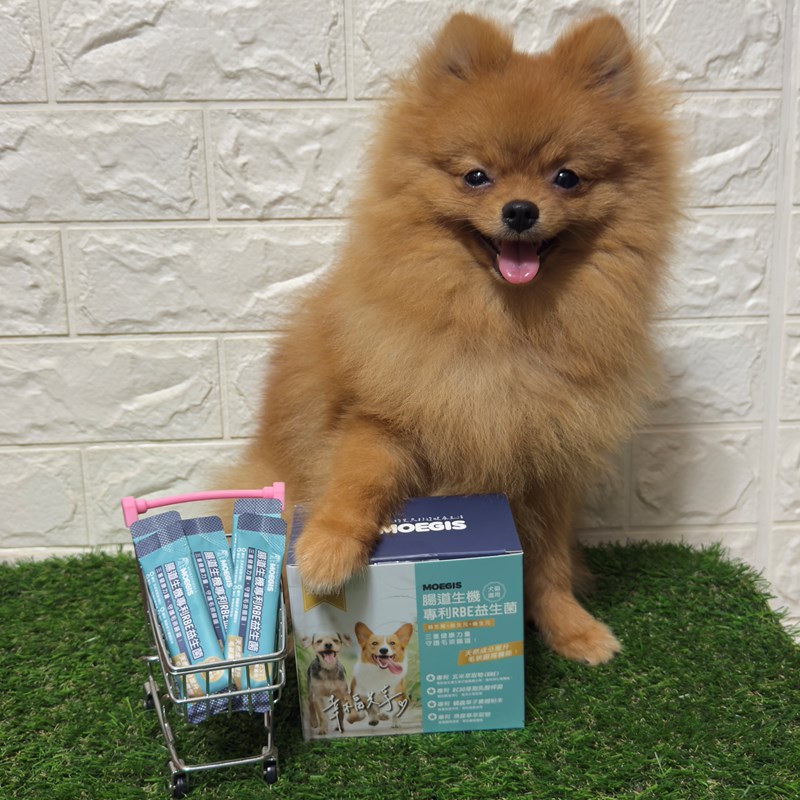 女人知己試用大隊,口碑行銷,部落客行銷,Moegis萌吉 腸道生機專利RBE益生菌,寵物益生菌,專利RBE益生元,專利蔬果酵素,小分子胜肽,藍藻粉,維持免疫力,幫助維持消化道機能,維持正常食慾,改變細菌叢生態,腸胃保健,犬貓適用